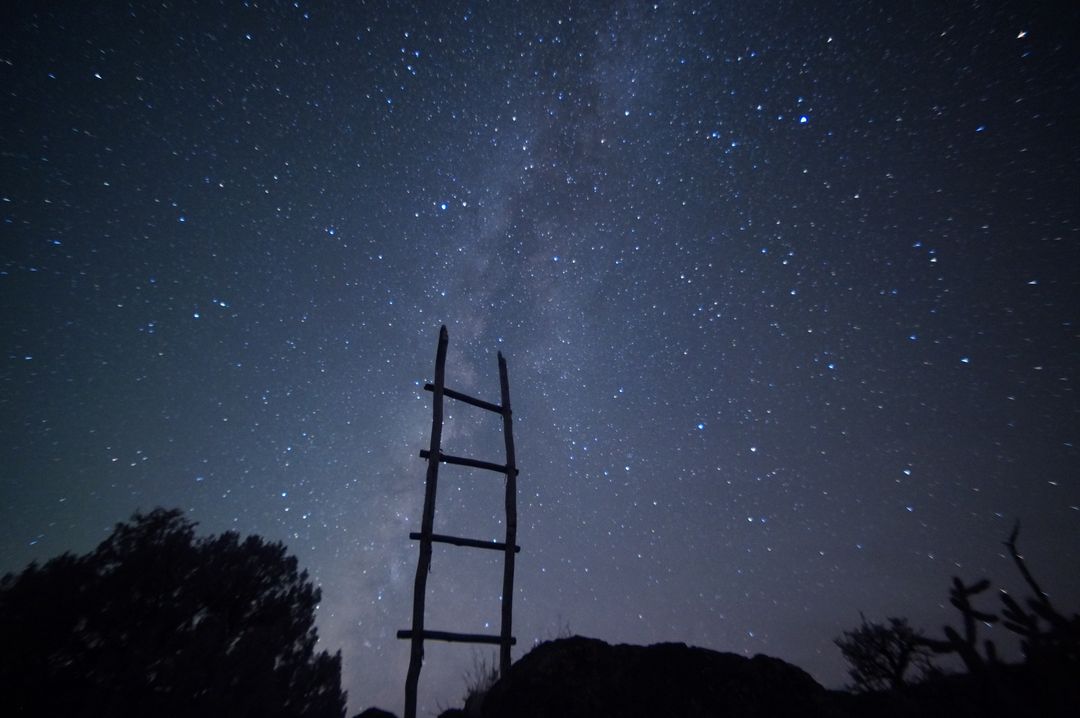 A ladder with a starry night sky backdrop